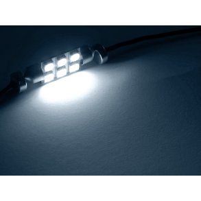 Pinolpre 12V 6xLED 38 mm - Xenon hvid - 1 stk.