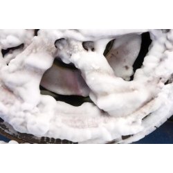 Autoglym Flgrens - Wheel cleaning mousse 500 ml. spray