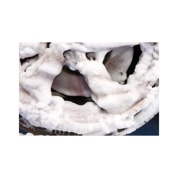 Autoglym Flgrens - Wheel cleaning mousse 500 ml. spray