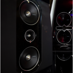 Rockford Fosgate Punch Pro PPS4-8 Punch 8" Hjtaler