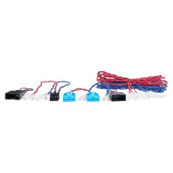 Phoenix Gold P&P T-kabel (ZDA + ZXM) BMW 05-2019 m. BSS