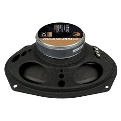 Phoenix Gold 6x9 coaxial h�jtalere 240W max 80W RMS