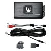 Phoenix Gold 1x500W CLASS-D 