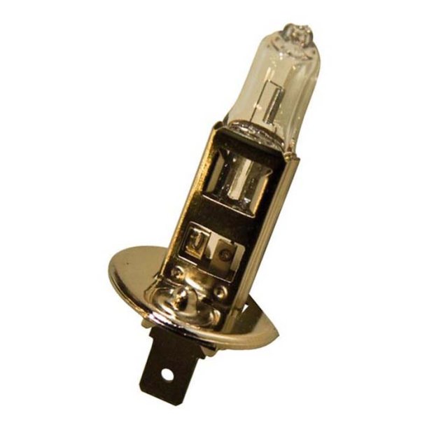 P�re H1 12V 55W 1 stk.