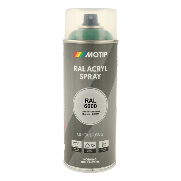 Motip Ral 6000 high gloss patina green